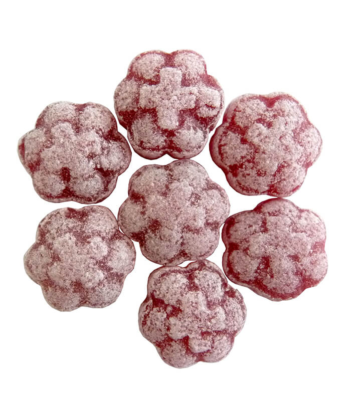 Schwarze Johannisbeere