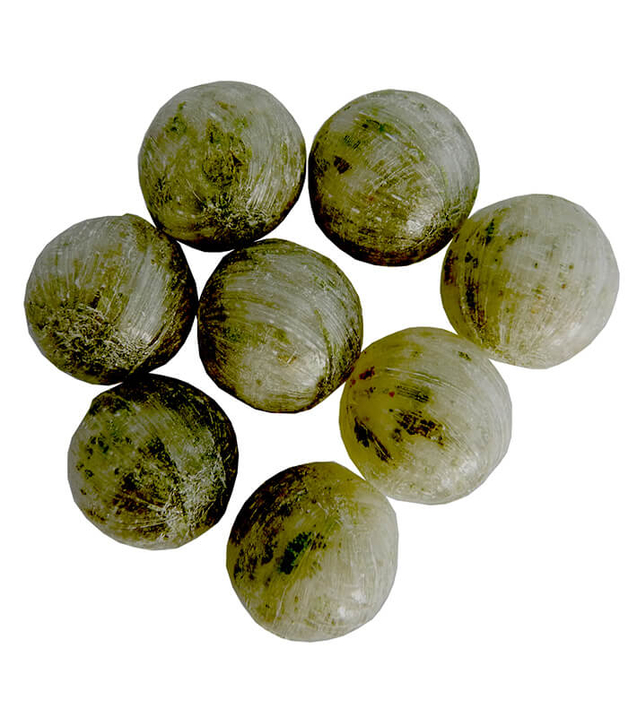 Inclusions Grüne Minze